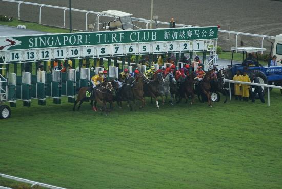 Horse Racing Singapore