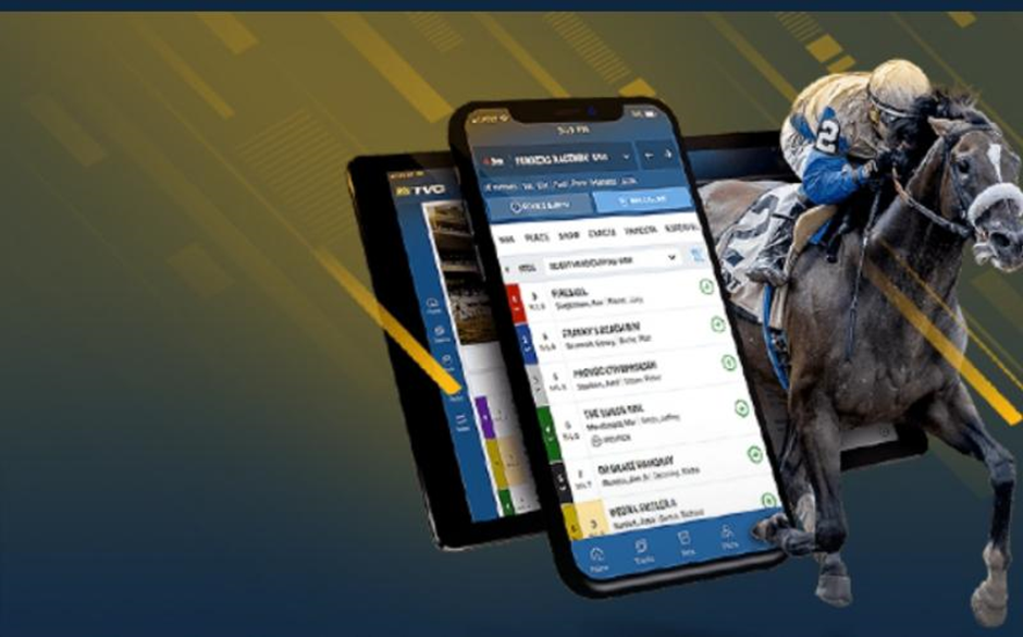 Learn Everything about How to Bet on Horse Racing