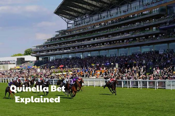 What Is Quinella in Horse Betting