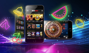 Live Casino, Play Against a Live Dealer from Home