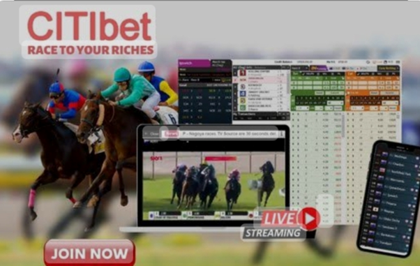 How to Earn Money Regularly on Horse Racing at Malaysia Citibet