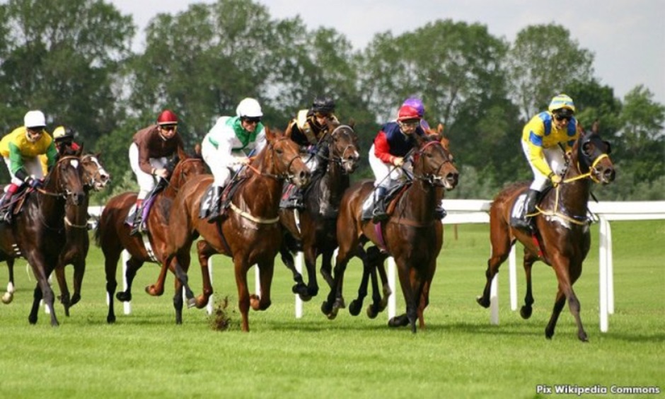 Top 3 Asian Horse Racing Racetracks