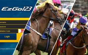 Malaysia Horse Racing Betting Options