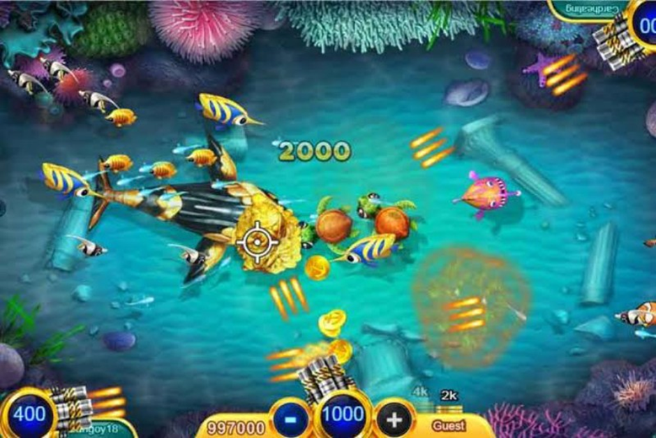 Fish Game Gambling, Where Video Games Meet Casino Payouts